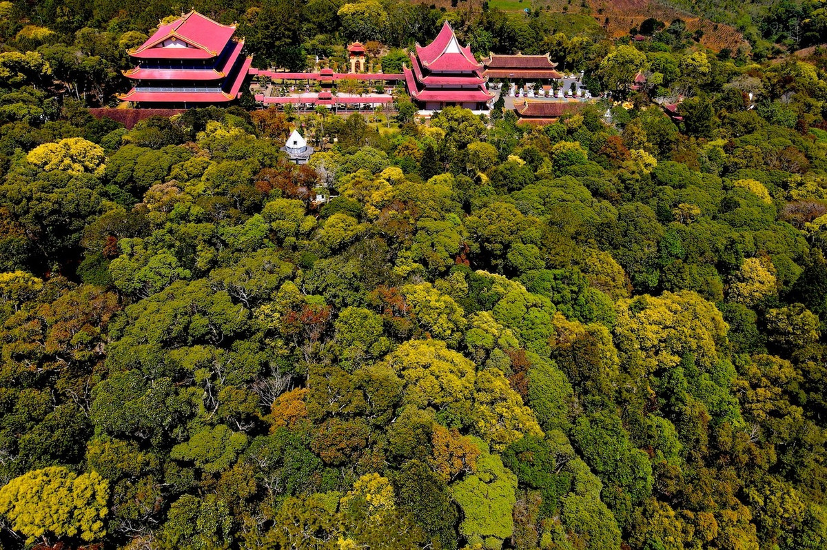 Mùa này, không khí Măng Đen không chỉ trong lành mà còn tràn ngập hương thơm của hoa rừng. Ảnh Báo Tiền Phong