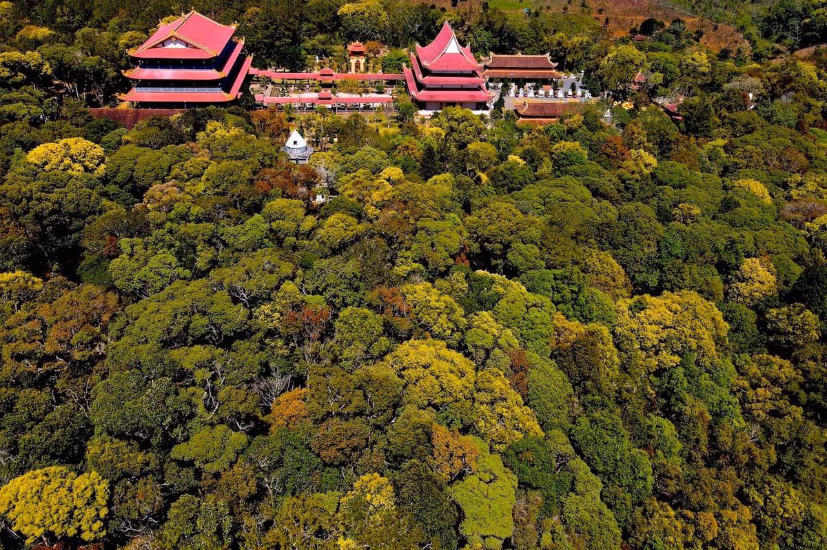 Mùa này, không khí Măng Đen không chỉ trong lành mà còn tràn ngập hương thơm của hoa rừng. Ảnh Báo Tiền Phong