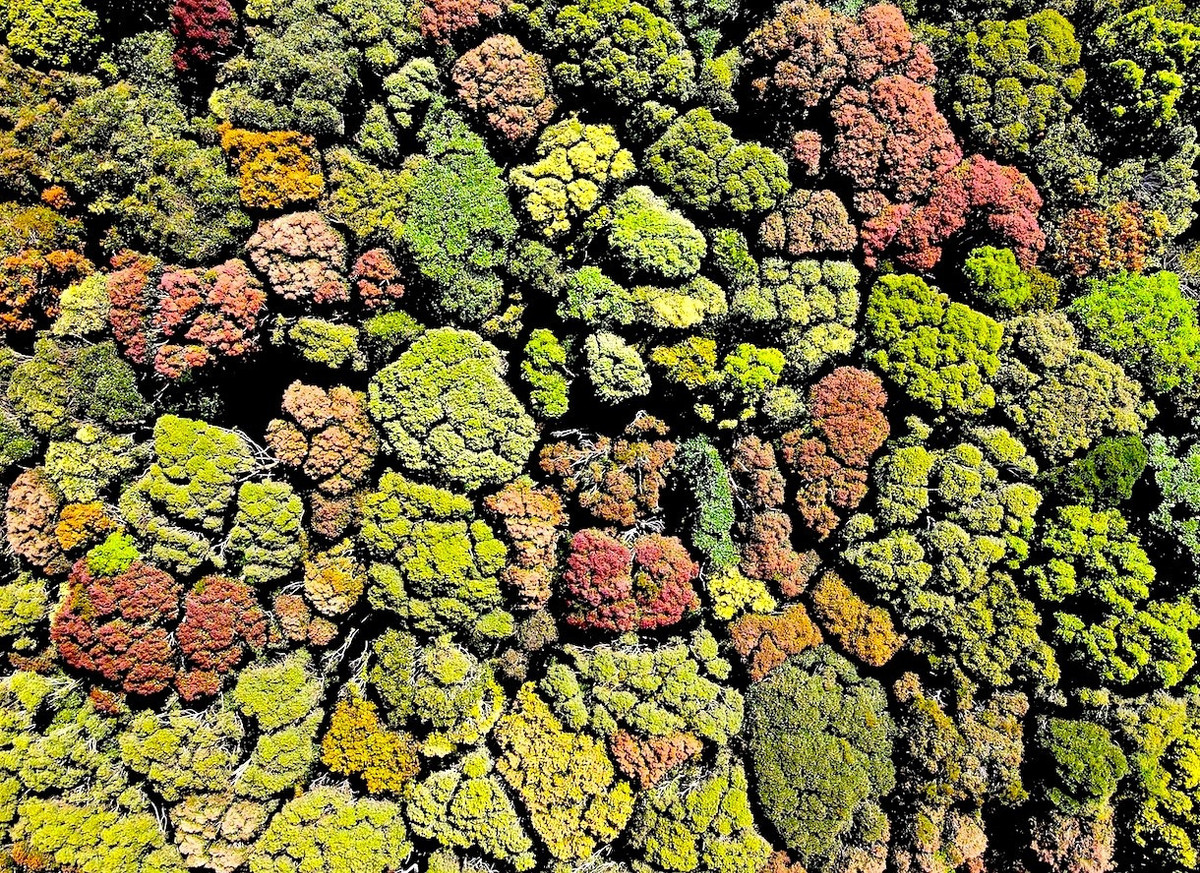 Không khí trong lành, mát mẻ, cùng với cảnh sắc tuyệt vời của những ngọn núi, dòng thác, hồ nước hay con sông, con suối trong vắt sẽ khiến bạn cảm thấy như mình đang lạc vào một thế giới khác, tách biệt hoàn toàn khỏi sự ồn ào, náo nhiệt của thành phố.