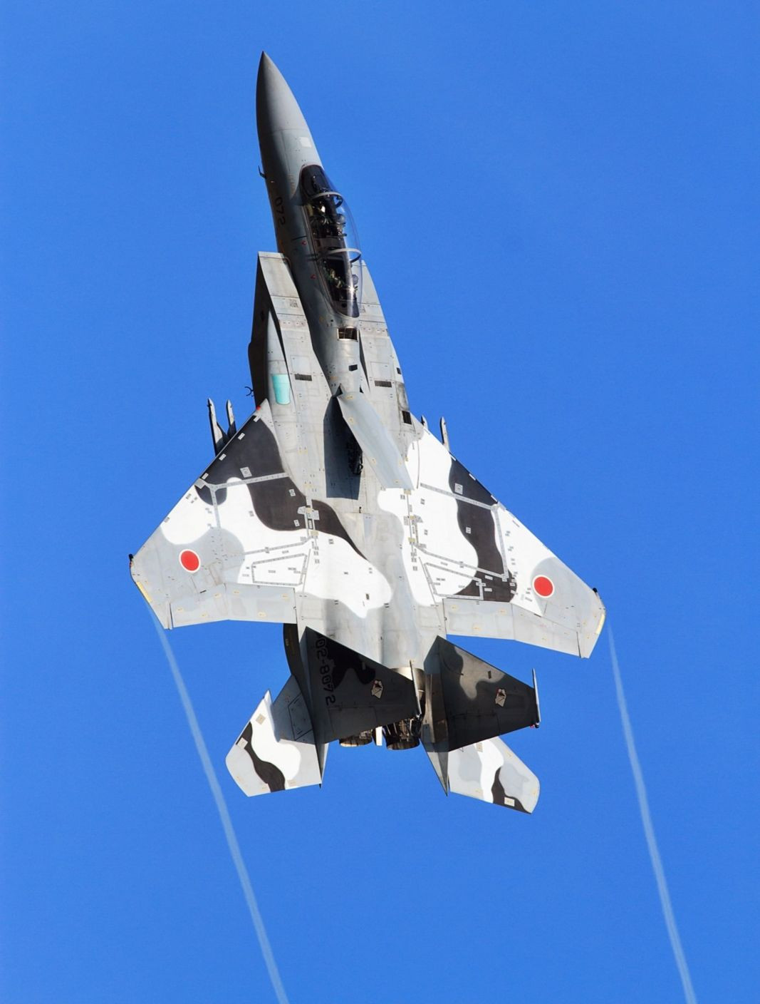 Tokyo sẽ không gặp khó khăn gì trong việc vận hành các thiết bị này để hỗ trợ cho lực lượng vũ trang của mình.