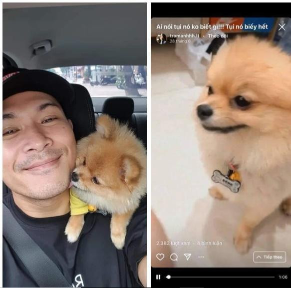 Nhan sắc Trâm Anh The Face dính tin đồn hẹn hò Trương Thế Vinh Nhan sac Tram Anh The Face dinh tin don hen ho Truong The Vinh