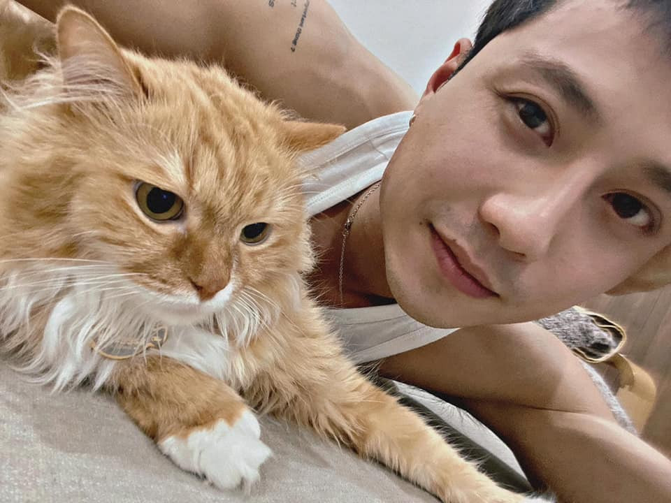 Fan tinh ý nhận ra ngay đây là chú mèo nhà nam diễn viên.