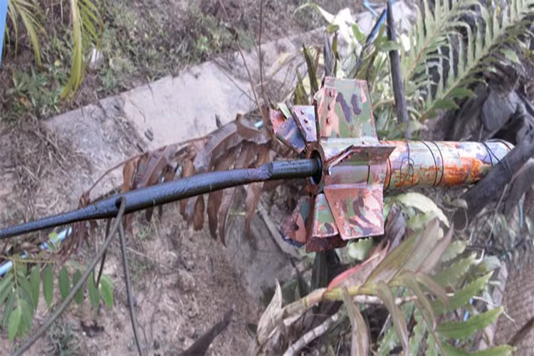 Do giới hạn của công nghệ vào thời điểm đó, các loại cây nhiệt đới thường có thời gian hoạt động rất ngắn do phải thu phát tín hiệu vô tuyến liên tục và chúng nhanh chóng trở nên vô dụng sau khi hết pin. Chính vì vậy, Mỹ đã phải thả xuống miền Nam Việt Nam và Lào hàng triệu cây nhiệt đới chỉ trong một thời gian ngắn để duy trì liên tục khả năng hoạt động của Hàng rào điện tử McNamara. Nguồn ảnh: Pinterest.