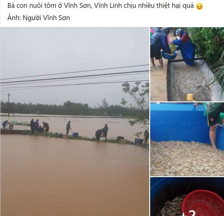 Một bài đăng nói tới thiệt hại của bà con ở Vĩnh Sơn, Vĩnh Linh, Quảng Trị. (Ảnh: Chụp màn hình). 
