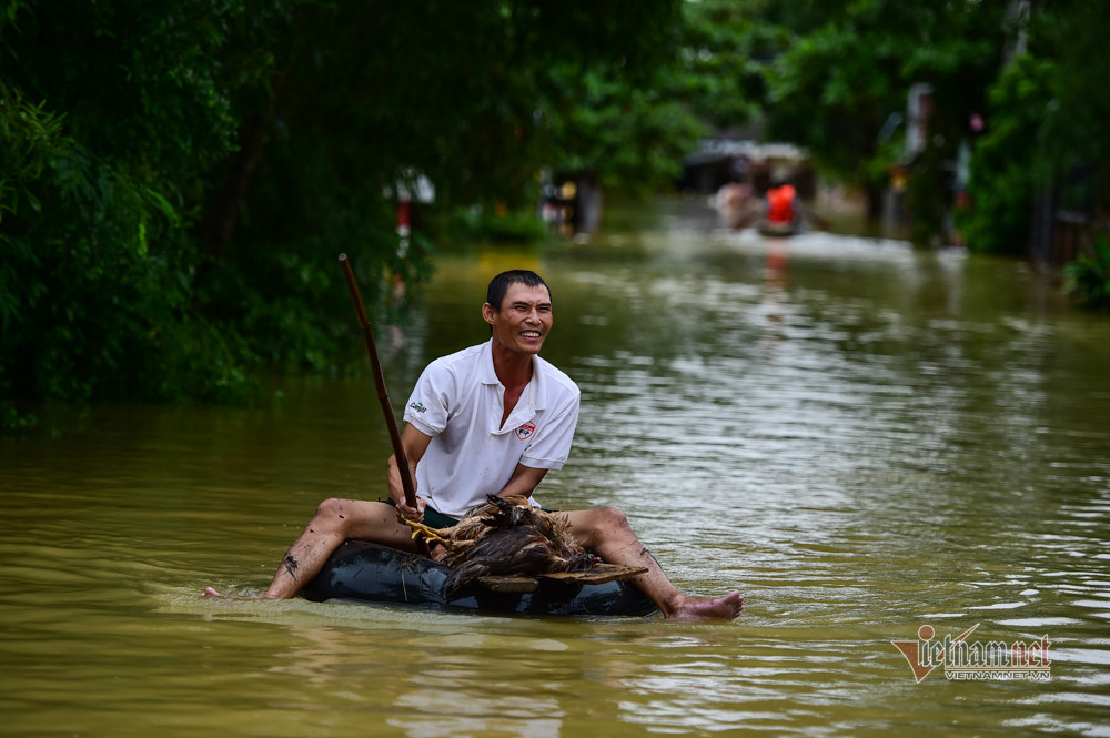 Người đàn ông vận chuyển gia cầm chết ra ngoài