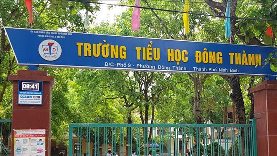 Qua công tác nghiệp vụ, Phòng Cảnh sát kinh tế, Công an tỉnh Ninh Bình đã phát hiện một số sai phạm của các bị can trên liên quan đến việc thu - chi tiền ăn bán trú, thu tiền học phí của học sinh tại trường Tiểu học Đông Thành. Trong các năm 2018 và 2019, các bị can trên đã lập 2 hệ thống chứng từ kế toán để rút khẩu phần ăn của học sinh, thu học phí sai quy định với tổng số tiền trên 530 triệu đồng.