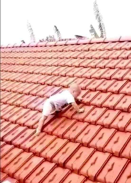 Hình ảnh cháu bé leo lên nóc nhà để tránh lũ.