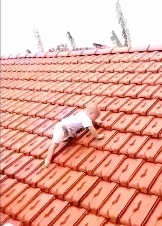 Hình ảnh cháu bé leo lên nóc nhà để tránh lũ.