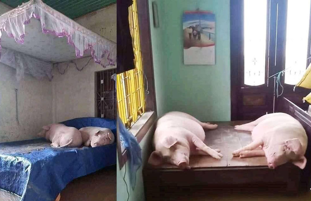 Người dân cô gắng bảo vệ tài sản, tránh tổn thất nặng nề nhất.