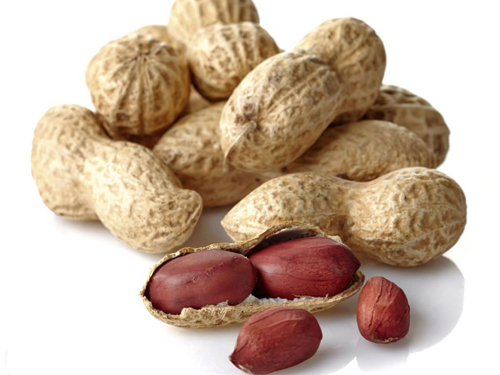 Theo Đông y, nhân lạc có tính bình, vị ngọt béo, có tác dụng nhuận phế, trừ đàm, chỉ huyết, chủ yếu dùng chữa ho, thiếu máu, thiếu tiểu cầu, ít sữa, viêm dạ dày mạn tính,…