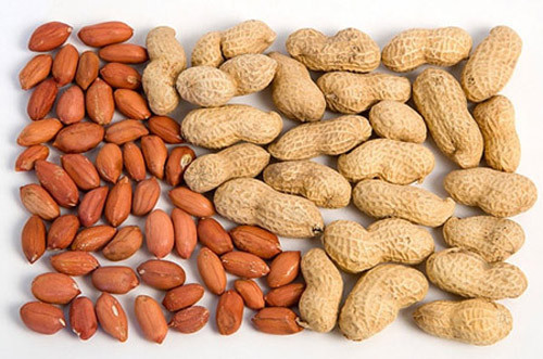 Theo đó, lạc chứa nhiều protein, chất béo amino acid: lecithin, purin, alkaloid, calcium, phosphore, sắt có tác dụng phòng ngừa các bệnh như xơ cứng động mạch và bệnh tim mạch vành, ngăn ngừa lão hóa làm đẹp da.