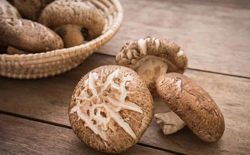 Nguyên liệu. Một số loại dầu hào sẽ chọn thêm chiết xuất nấm đông cô để tạo hương vị "tươi mát". Loại dầu hào này không chỉ có hương vị đậm đà hơn mà còn rất giàu polysacarit từ nấm, có thể cải thiện sức đề kháng, một mũi tên trúng hai đích.