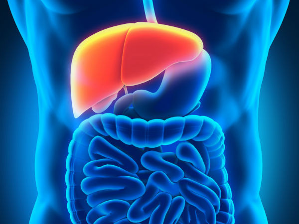 Hầu hết thực phẩm chúng ta tiêu thụ hằng ngày đều chứa lượng nitơ khá lớn. Sau khi hấp thu vào cơ thể, chúng bị các vi khuẩn đường ruột có men urease phân hủy nitơ thành amoniac (NH3), có tính độc. NH3 thấm vào niêm mạc ruột, khuếch tán vào máu rồi đến gan.