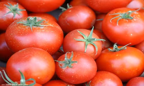 Cà chua là nguồn cung cấp lycopene, một chất dinh dưỡng thực vật được chứng minh là có khả năng chống ung thư tuyến tiền liệt, tăng cường khả năng nghe. Cà chua đem đến nhiều lợi ích sức khỏe hơn khi được nấu chín, làm tăng và tập trung hàm lượng lycopene trong trái hơn.