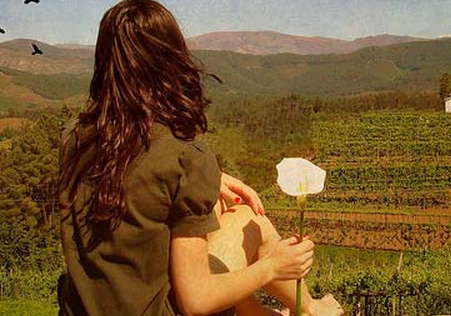 Tài vận trong tháng 7 của tuổi Tuất hơi kém. Nguồn thu chính chịu tổn thất, nguồn thu phụ tạm ổn. Những người đang kinh doanh sẽ gặp tình trạng trì trệ, tắc nghẽn, tạm thời không nên tái đầu tư mà cần phải xây dựng chính sách tốt hơn. Giới đầu tư có thể chọn thời điểm thích hợp, có thể xem xét hướng đầu tư dài hạn, đầu tư ngắn hạn sẽ là mạo hiểm vào lúc này. Những người khởi nghiệp cần phải xem xét từ nhiều góc độ khác nhau không nên mạo hiểm để tránh tổn thất. Những người đang xin việc nên làm tạm công việc hiện có để có thời gian chờ đợi và tìm cơ hội tốt hơn.