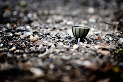 SHGR 07 khá rẻ vì nó không sử dụng các ngòi nổ điện tử tinh vi nào hay những gì tương tự, còn toàn bộ hiệu ứng đạt được là nhờ bổ sung đạn hỏa thuật và các giải pháp thiết kế độc đáo. Bản thân ngòi nổ có 3 mức giữ chậm, cho phép sử dụng lựu đạn như một lựu đạn tay thông thường nổ chậm, không nhảy. Để làm thế, chỉ cần trước khi sử dụng, người ta tháo vít kích nổ lượng nổ thứ hai.