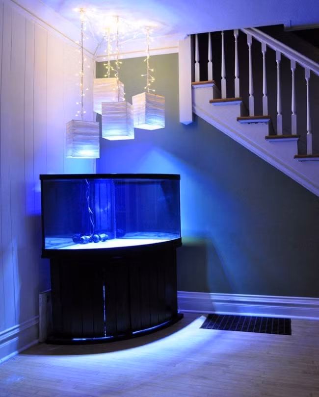 Bể cá và đèn trang trí đẹp lung linh sẽ làm góc nhà bạn bừng sáng.