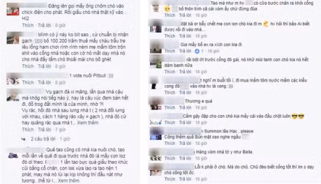 Phat dien voi hang xom “hon nhien qua hoa xau tinh“-Hinh-5