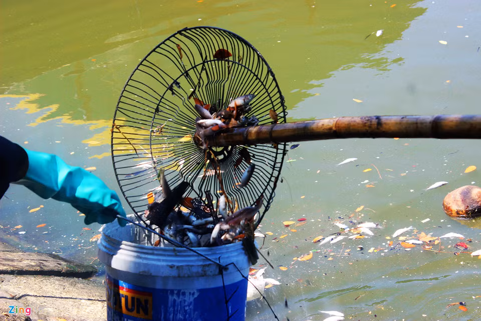 Lãnh đạo Sở Tài nguyên và Môi trường Đà Nẵng chưa có thông tin về vụ việc.