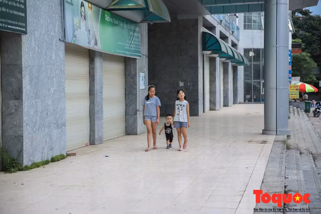 Việc TTTM bỏ không nhiều năm, các thiết bị, nhà cửa xuống cấp gây thiệt hại lớn cho công ty, mỗi năm công ty phải bỏ ra ít nhất khoảng 600 triệu đồng để bảo dưỡng, bảo trì và thuê nhân viên bảo vệ, trông coi.