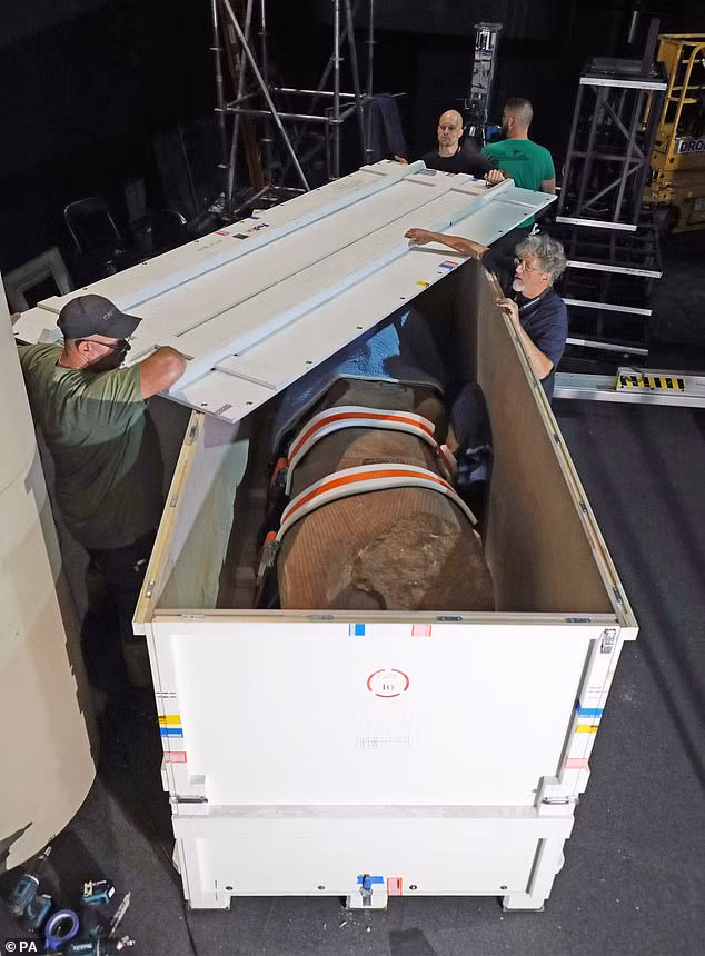 Toàn bộ cổ vật được tìm thấy trong lăng mộ của Tutankhamun được bảo quản nghiêm ngặt để chúng không bị hư hại hoặc phá hủy.