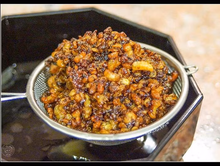 Hachinoko là món nhộng ong chiên giòn khá phổ biến ở Nhật Bản. Món ăn vặt này thường xuyên xuất hiện trong các buổi nhậu của người dân. Được biết, đây cũng là một trong những món ăn ưa thích của Thiên hoàng Hirohito. Những con nhộng được chiên với tương và đường, tăng thêm độ giòn, thơm. Cách thưởng thức ngon nhất chính là nhâm nhi nhộng giòn với một cốc bia. Với những người không quen ăn ấu trùng thì đây tiếp tục là một món ăn khá "khó nuốt".