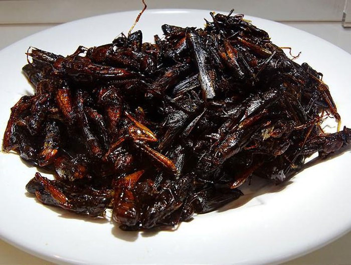 Một trong những món kì lạ mà bạn có thể tìm thấy ở Nhật Bản là Inago no Tsukudani - châu chấu luộc chín rồi hầm với nước sốt chế biến từ tương và cỏ biển. Món này khá phổ biến ở các vùng nông thôn như Yamagata, Nagano và Gunma. Tại đây, người dân Nhật Bản thường ăn Inago no Tsukudani với cơm trắng. Vì được chế biến từ côn trùng nên bề ngoài của món ăn này có vẻ rất kinh dị nhưng khi thưởng thức thì lại khá ngon và tốt cho hệ dinh dưỡng của con người.