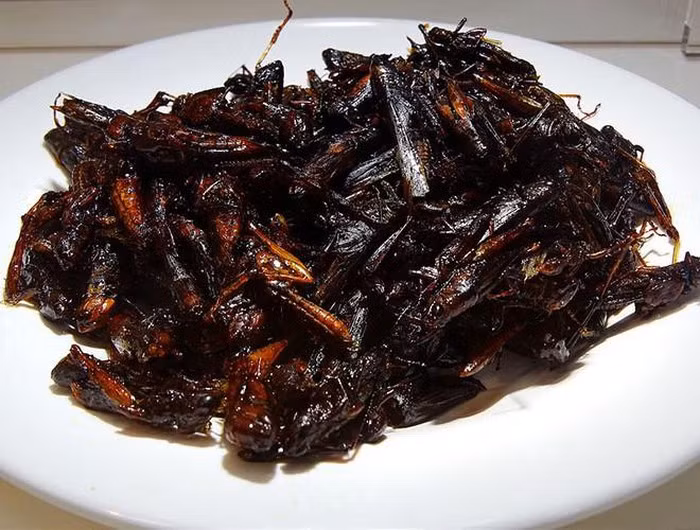 Một trong những món kì lạ mà bạn có thể tìm thấy ở Nhật Bản là Inago no Tsukudani - châu chấu luộc chín rồi hầm với nước sốt chế biến từ tương và cỏ biển. Món này khá phổ biến ở các vùng nông thôn như Yamagata, Nagano và Gunma. Tại đây, người dân Nhật Bản thường ăn Inago no Tsukudani với cơm trắng. Vì được chế biến từ côn trùng nên bề ngoài của món ăn này có vẻ rất kinh dị nhưng khi thưởng thức thì lại khá ngon và tốt cho hệ dinh dưỡng của con người.