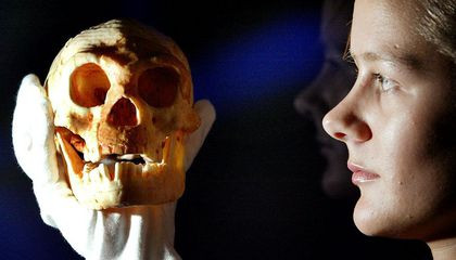 Với các bằng chứng được tìm thấy trong thời gian qua, các chuyên gia phát hiện 2 chủng người này dường như có 11.000 năm cùng tồn tại trong chính hang động Liang Bua.