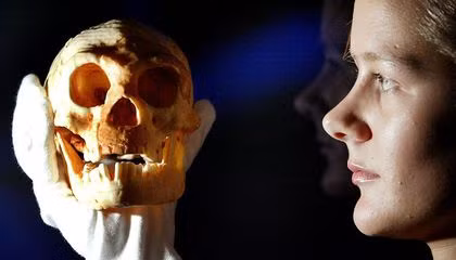 Với các bằng chứng được tìm thấy trong thời gian qua, các chuyên gia phát hiện 2 chủng người này dường như có 11.000 năm cùng tồn tại trong chính hang động Liang Bua.