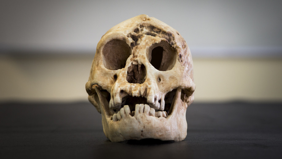 Theo các nhà nhân chủng học, "người lùn Hobbit" có thật trong lịch sử sống trên đảo Flores cho đến cuối thời kỷ băng hà, tức khoảng 18.000 năm trước.