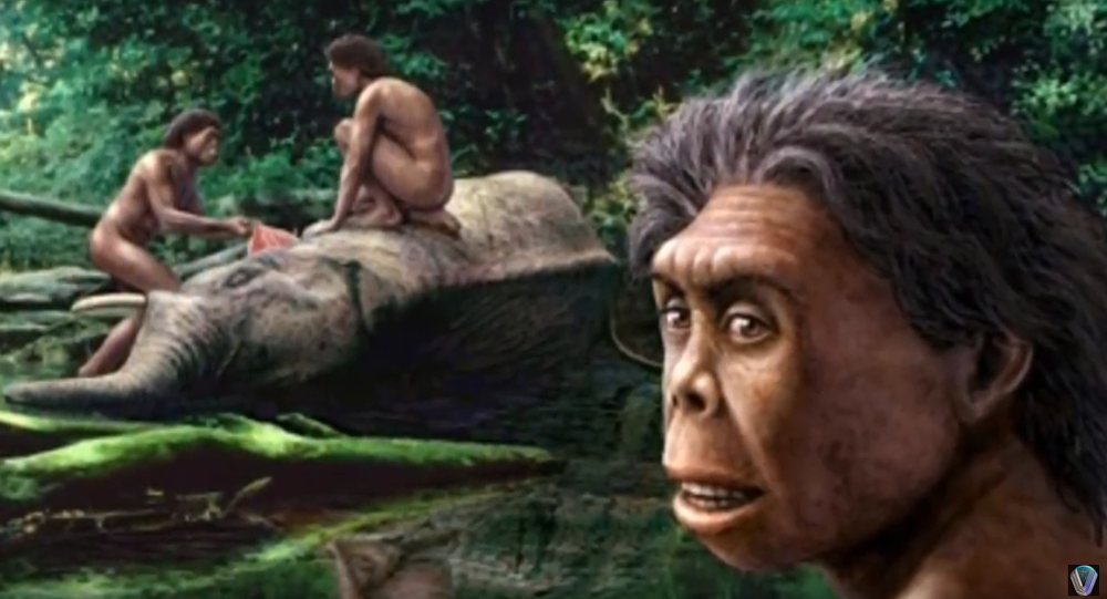 Về lý do người lùn Homo floresiensis biến mất, các chuyên gia đã nghiên cứu và tìm ra nguyên nhân là chính người hiện đại.
