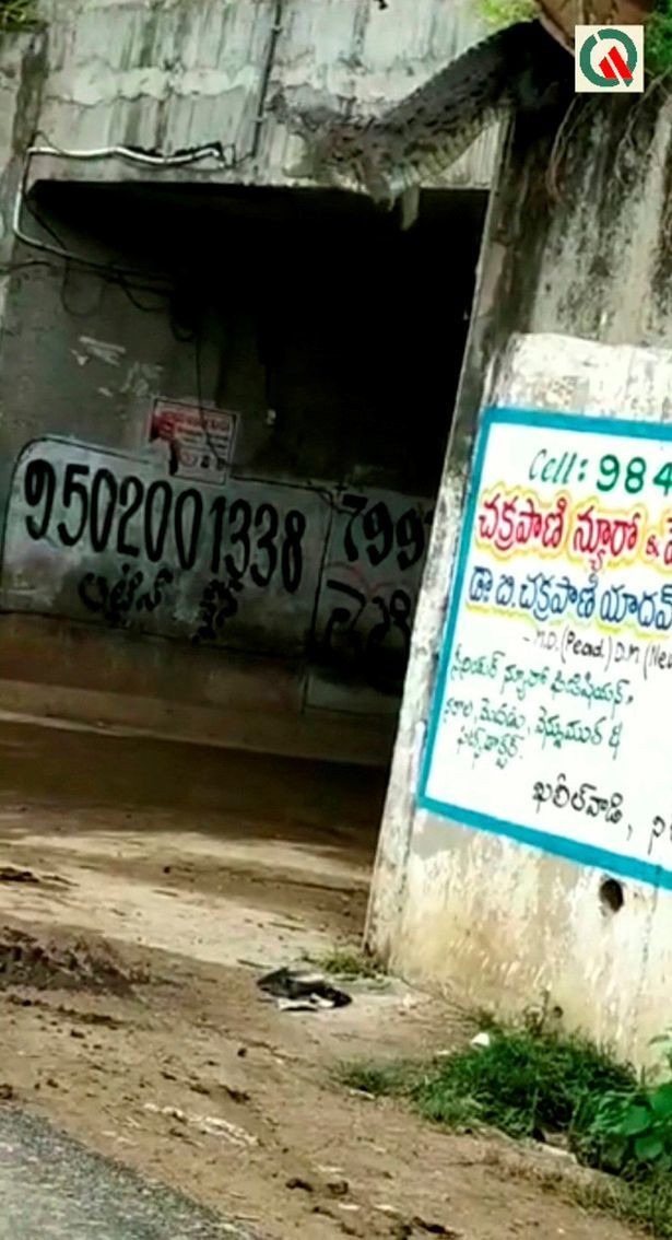 Ca sau khong lo bo len cao toc doa tai xe hoang so