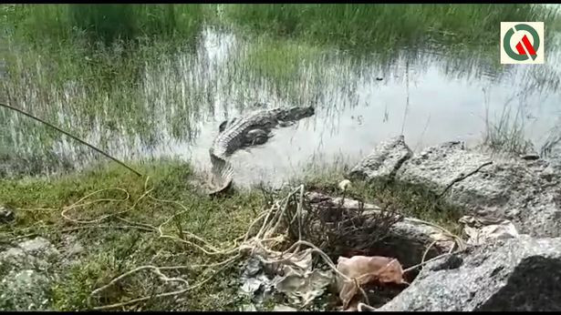 Ca sau khong lo bo len cao toc doa tai xe hoang so-Hinh-3