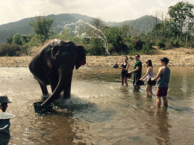 Tay máy chụp được tấm ảnh này nhận nhiều lời khen ngợi từ cộng đồng mạng. Để tạo nên 2 con voi trong cùng bức ảnh, người chụp phải thật nhanh để bắt khoảnh khắc và phụ thuộc nhiều vào may mắn.