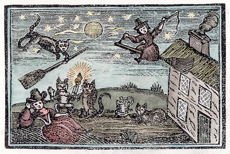 Một điều đáng chú ý là đa số phù thủy bị bắt giữ và đưa ra xét xử là phụ nữ. Điển hình là việc 14 trong số 19 phù thủy ở Salem bị xử tử đều là phụ nữ. Họ bị cáo buộc là phù thủy gây ra một trận đại hồng thủy năm 1692.