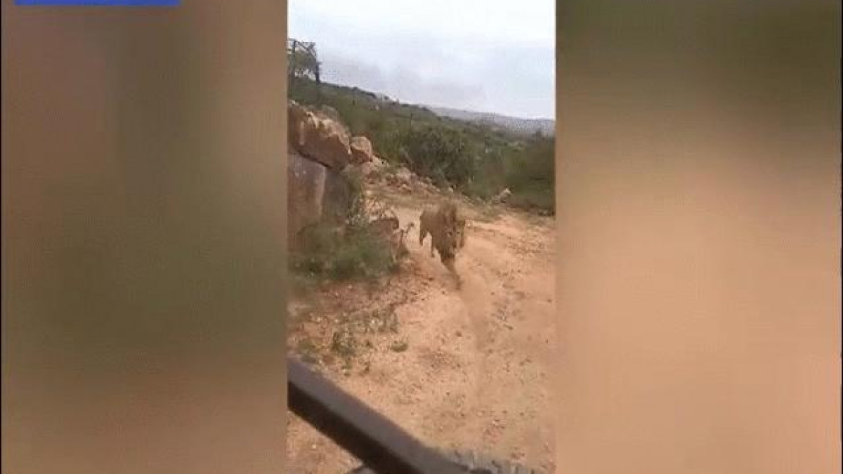 Du khach so chet khiep khi bi su tu duoi theo doi vo