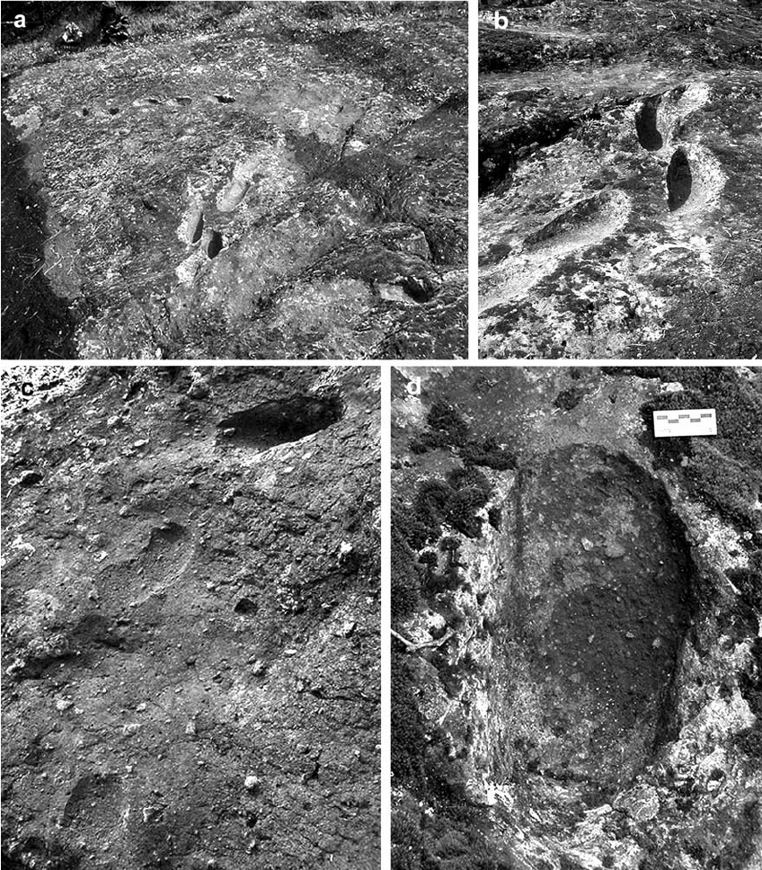 Những dấu chân bí này được cho thuộc về một giống vượn người hai chân.