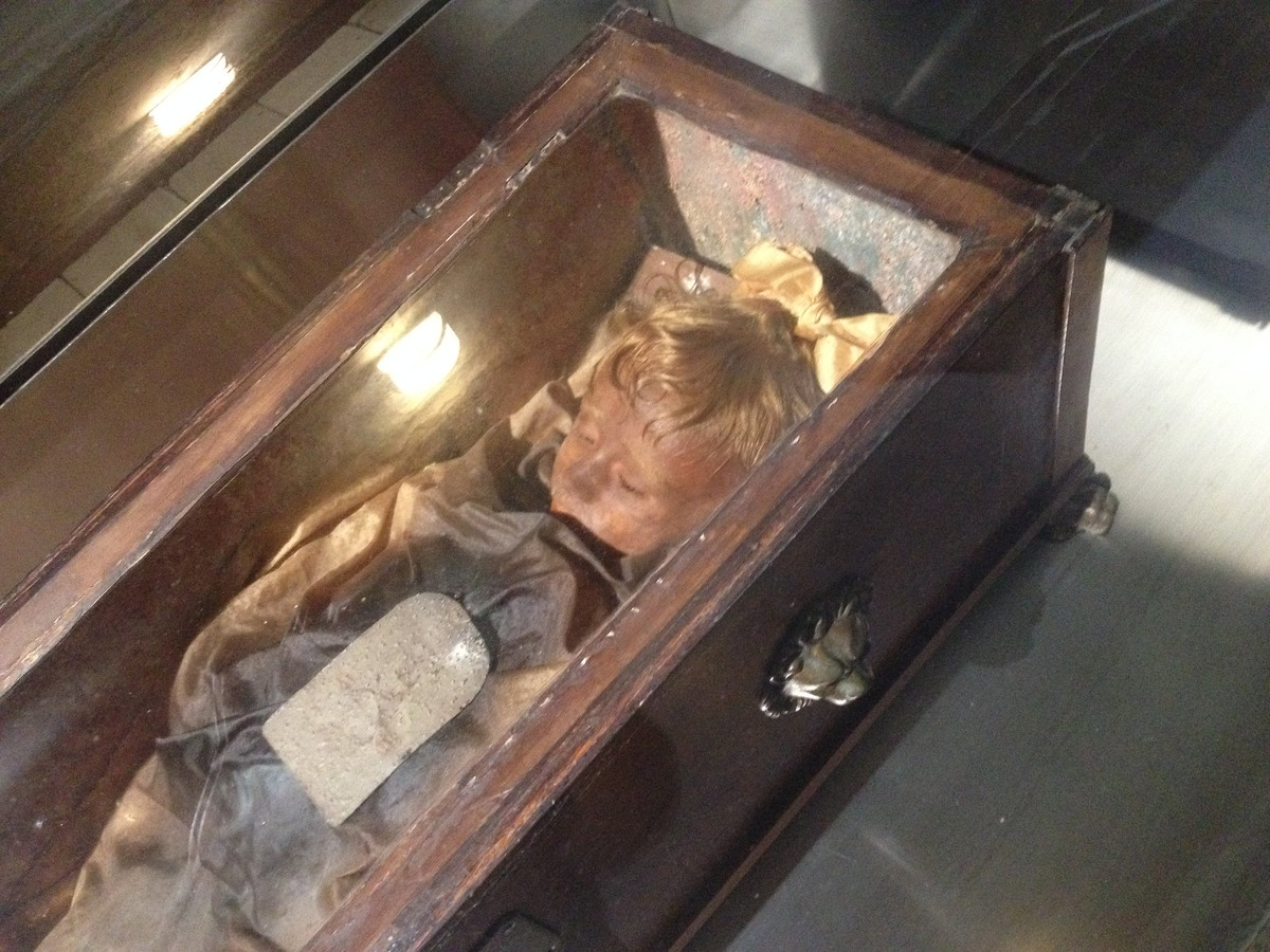 Sự việc này nhanh chóng thu hút sự quan tâm của giới chuyên gia và dư luận. Người ta tò mò không biết vì sao xác ướp của Lombardo có thể chớp mắt dù qua đời từ lâu.