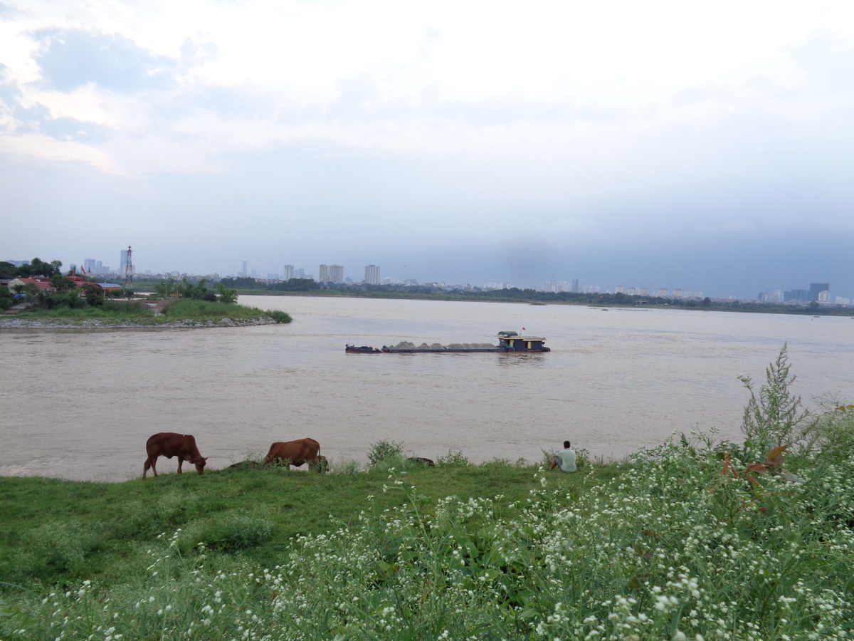 Sông Đuống gắn liền với hình ảnh Vua Lý Thánh Tông thường cưỡi thuyền rồng đi lại trên sông rồi xuôi dòng về quê ngoại (ở xã Mai Lâm, huyện Đông Anh, Hà Nội) và đến kinh thành Thăng Long.