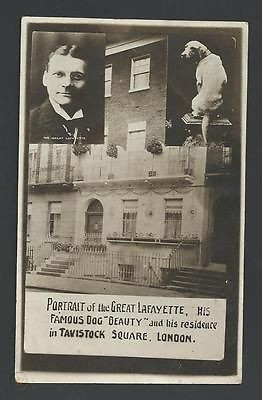 Ban đầu, khán giả nghĩ rằng, đây là một phần của tiết mục ảo thuật của Lafayette Vĩ đại nên không vội vã bỏ chạy. Họ chỉ chạy vội ra ngoài khi quản lý nhà hát thông báo đang xảy ra hỏa hoạn thật.