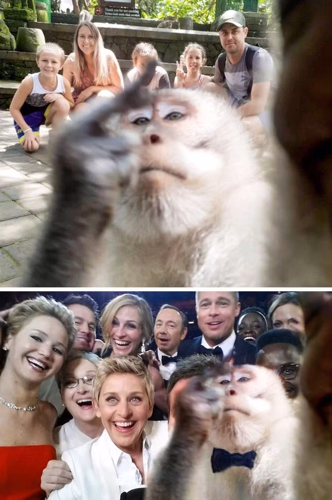 Luôn chiếm spotlight trong những bức hình selfie.