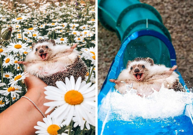 Chỉ cần thay hậu cảnh sẽ tạo nên hiệu ứng bất ngờ.