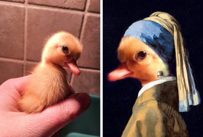 Chú vịt bỗng hóa thân thành cô gái đằm thắm.