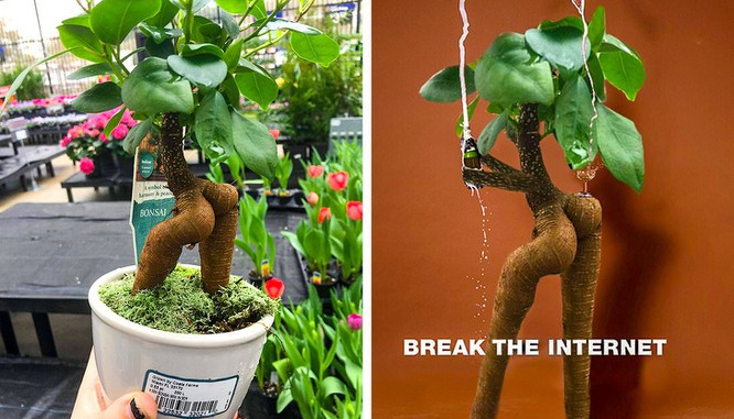 Tựa như một vận động viên thể hình.