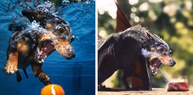 Thần thái không có điểm gì đáng chê.