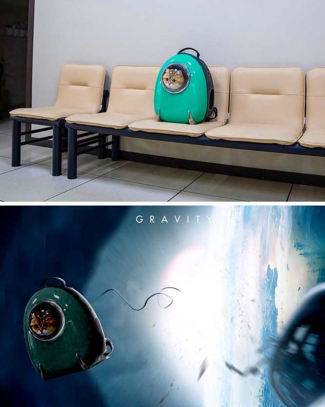 Một chú mèo phi hành gia.