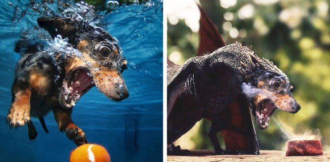 Thần thái không có điểm gì đáng chê.