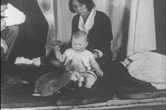 Sở dĩ như vậy là do giáo sư Watson sử dụng một bé trai 9 tháng tuổi có tên Albert làm đối tượng thí nghiệm. Sau khi thí nghiệm kết thúc, cậu bé Albert chịu ảnh hưởng tâm lý đến hết đời.