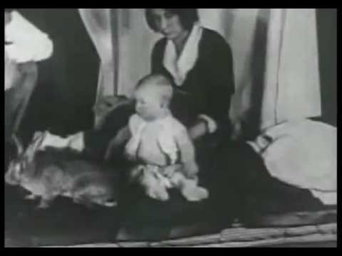 Cuộc thí nghiệm bắt đầu với việc Albert được cho tiếp xúc với chuột bạch, chó, thỏ trắng và một mặt nạ Santa Claus. Ban đầu, cậu bé vô cùng thích thú và không cảm thấy sợ hãi.